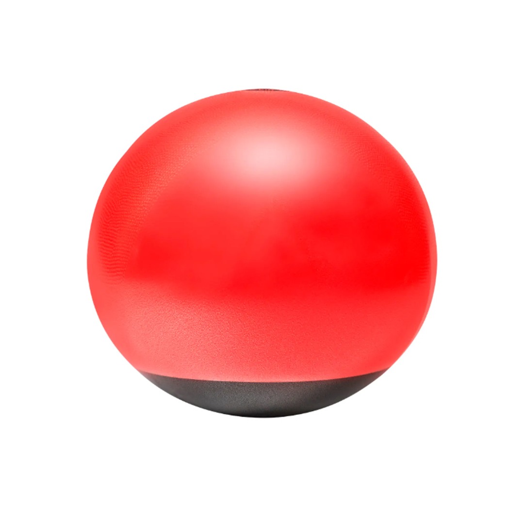 Pelota de Pilates Reebok 65Cm